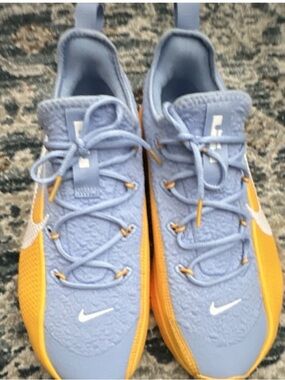 Nike LeBron TR 1 Aluminum University Gold Blue Mesh Sneaker FJ6151-401 Men 10